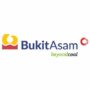 PT Bukit Asam Tbk